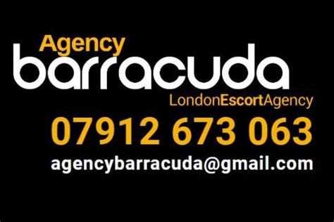 agency barracuda london|Barracuda London Limited